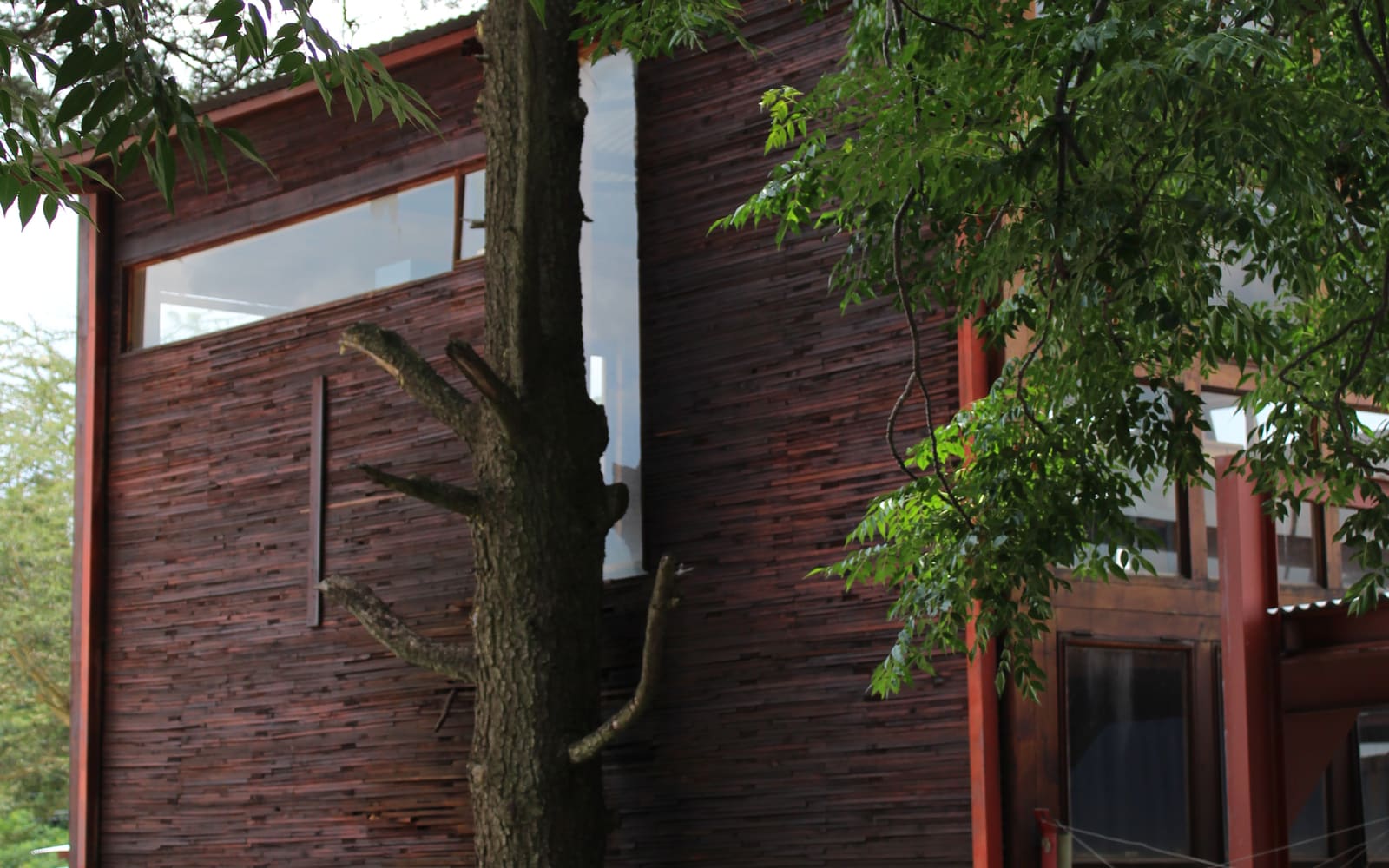 Design Studio in Linbro Park, building photograph 17 of 22.